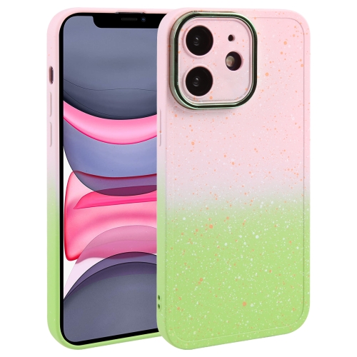 For iPhone 11 Gradient Starry Silicone Phone Case with Lens Film(Pink Green)