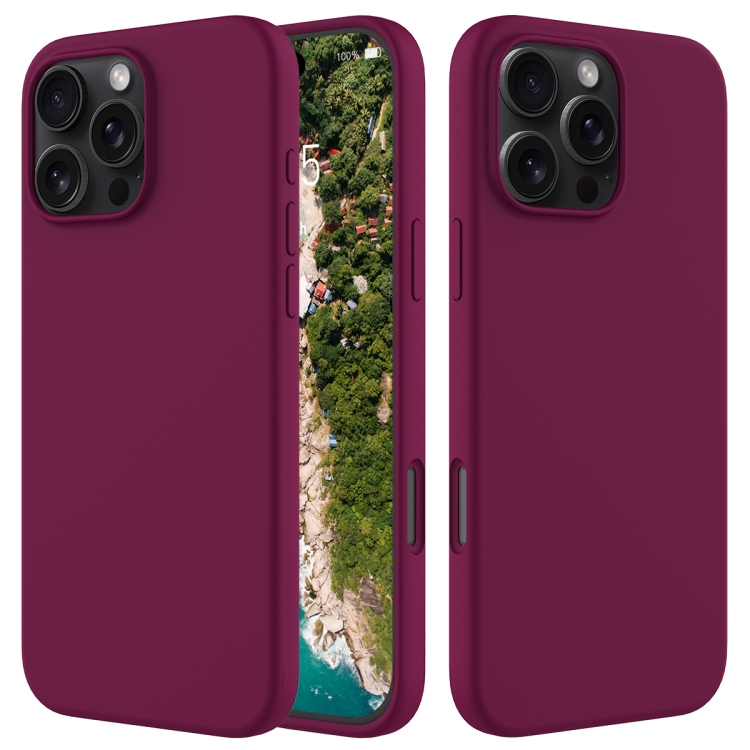 

For iPhone 16 Pro Solid Color Silicone Phone Case(Violet)