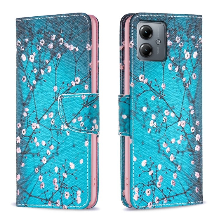 

For Motorola Moto G14 4G Colored Drawing Pattern Leather Phone Case(Plum Blossom)