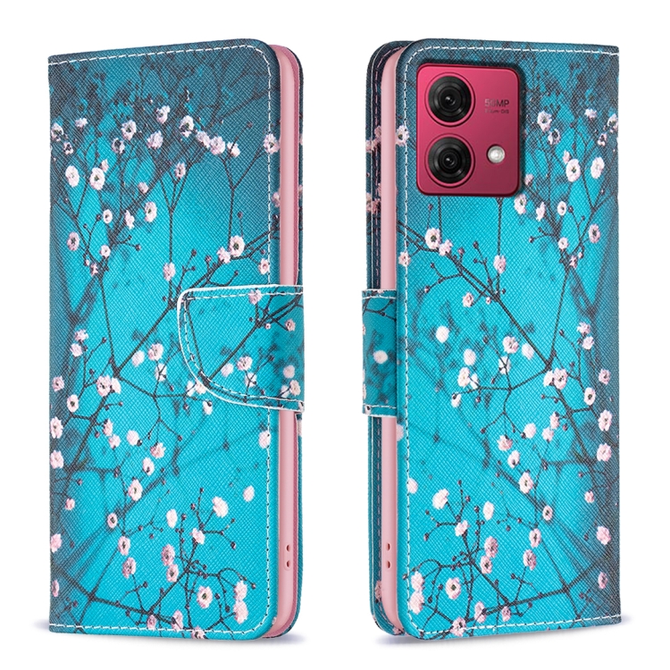 

For Motorola Moto G84 5G Colored Drawing Pattern Leather Phone Case(Plum Blossom)
