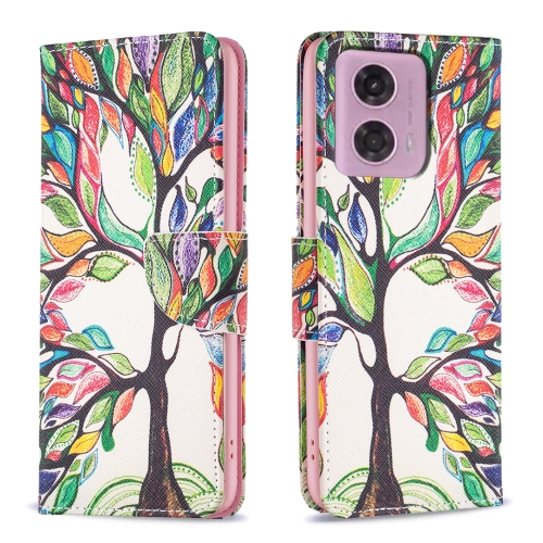 

For Motorola Moto G34 5G Colored Drawing Pattern Leather Phone Case(Sun Flower)