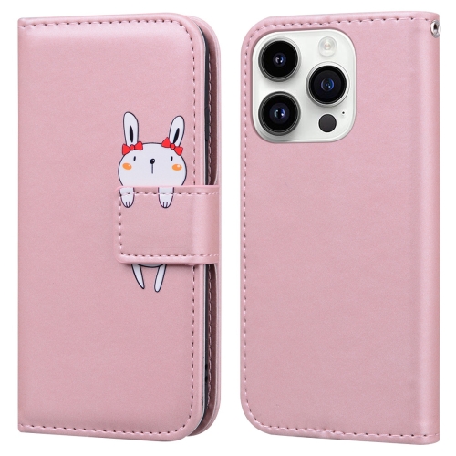 

For iPhone 13 Pro Cartoon Buckle Horizontal Flip Leather Phone Case(Pink)