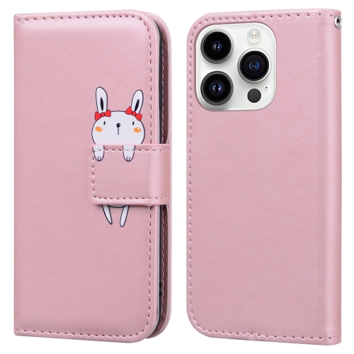 For iPhone 11 Pro Cartoon Buckle Horizontal Flip Leather Phone Case(Pink)