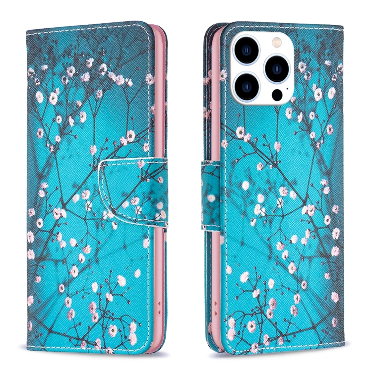 

For iPhone 15 Pro Colored Drawing Pattern Leather Phone Case(Plum Blossom)