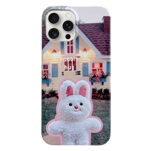 

For iPhone 15 Pro Painted Pattern PC Phone Case(Bunny Hug)