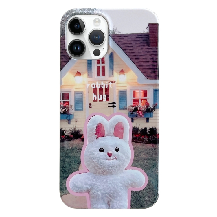 

For iPhone 13 Pro Painted Pattern PC Phone Case(Bunny Hug)