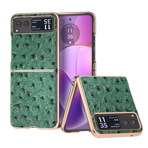 

For Motorola Razr 40 Nano Plating Genuine Leather Ostrich Texture Phone Case(Green)