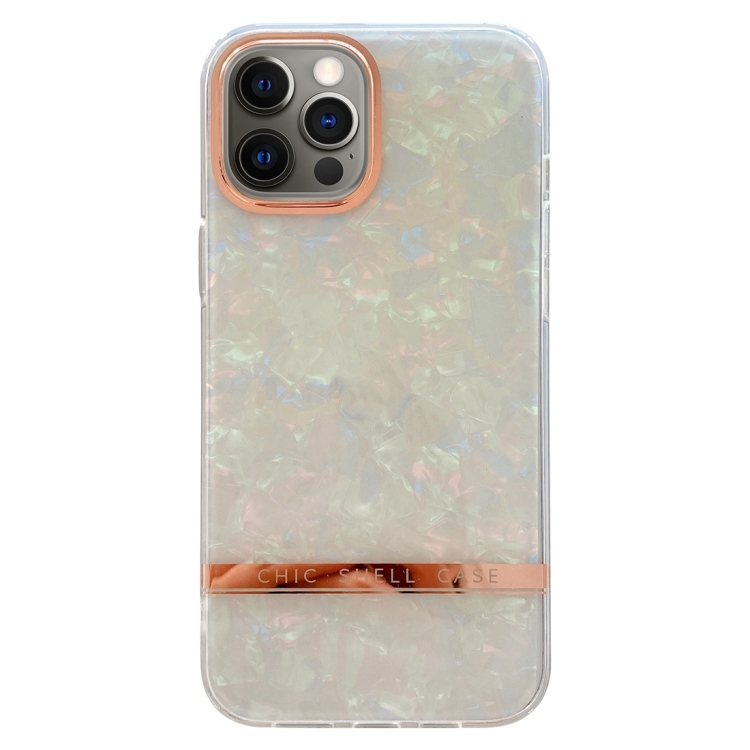

For iPhone 12 Pro Electroplating Shell Texture TPU Phone Case(Colorful)