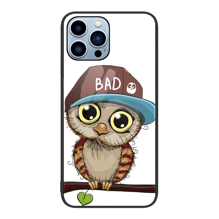 

For iPhone 15 Pro Colorful Painted Glass Phone Case(Owl)
