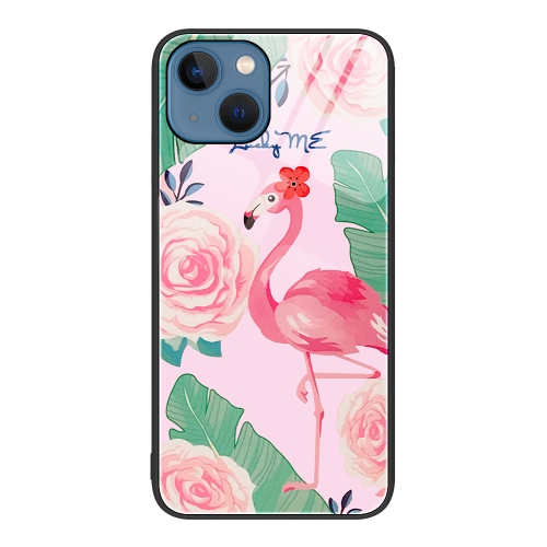 

For iPhone 15 Plus Colorful Painted Glass Phone Case(Flamingo)