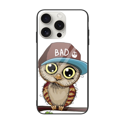 

For iPhone 16 Pro Colorful Painted Glass Phone Case(Owl)