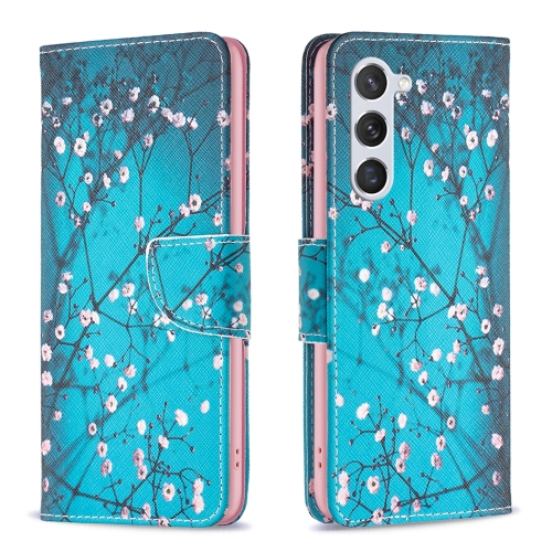 

For Samsung Galaxy S24 5G Colored Drawing Pattern Leather Phone Case(Plum Blossom)