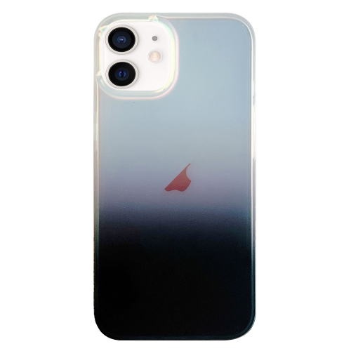 

For iPhone 11 Double Sided IMD Laser Gradient PC Phone Case(Black)