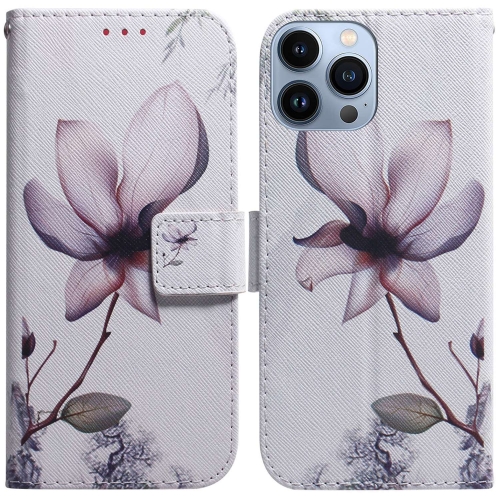 

For iPhone 15 Pro Coloured Drawing Flip Leather Phone Case(Magnolia)