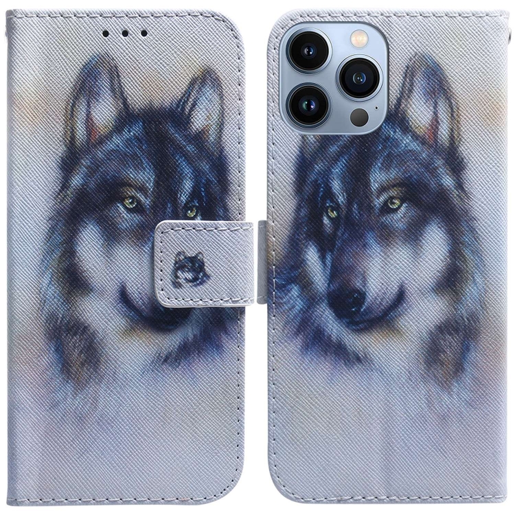

For iPhone 14 Pro Max Coloured Drawing Flip Leather Phone Case(White Wolf)