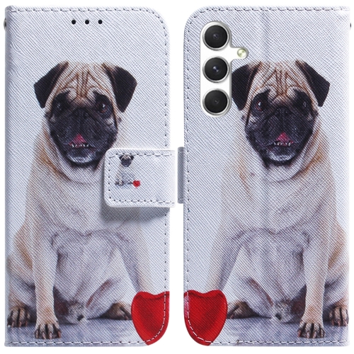 

For Samsung Galaxy S24+ 5G Coloured Drawing Flip Leather Phone Case(Pug)