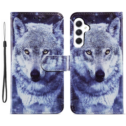 

For Samsung Galaxy S23 FE 5G Colored Drawing Leather Phone Case(White Wolf)
