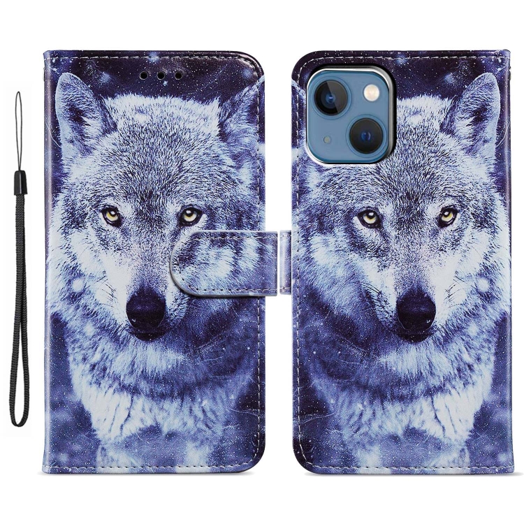 

For iPhone 15 Plus Colored Drawing Leather Phone Case(White Wolf)