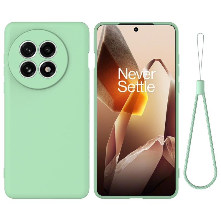 

For OnePlus 13R / Ace 5 / 5 Pro Pure Color Liquid Silicone Shockproof Phone Case(Green)