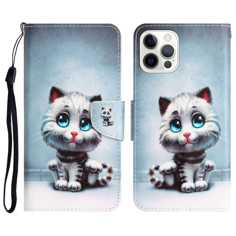 

For iPhone 15 Pro Colored Drawing Leather Phone Case(Blue Eyes)