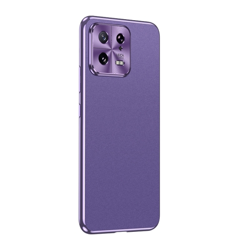 

For Xiaomi 13 Starshine Frosted Series Airbag Shockproof Phone Case(Purple)