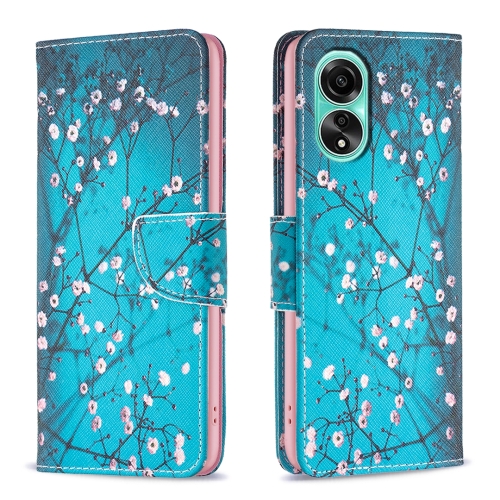 

For OPPO A78 4G Colored Drawing Pattern Leather Phone Case(Plum Blossom)