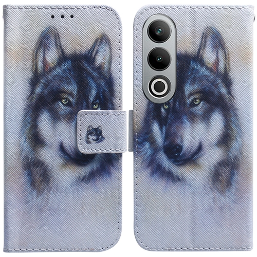 

For OnePlus Nord CE4 5G Coloured Drawing Flip Leather Phone Case(White Wolf)