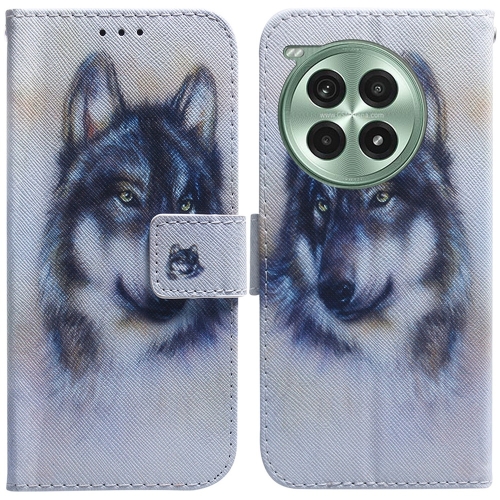 

For OnePlus Ace 3 Pro Coloured Drawing Flip Leather Phone Case(White Wolf)