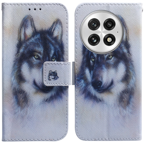 

For OnePlus 13 Coloured Drawing Flip Leather Phone Case(White Wolf)