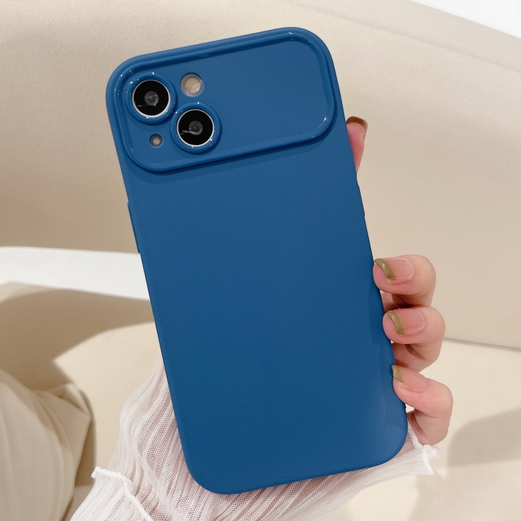 

For iPhone 13 Large Window Frosted TPU Phone Case(Blue)