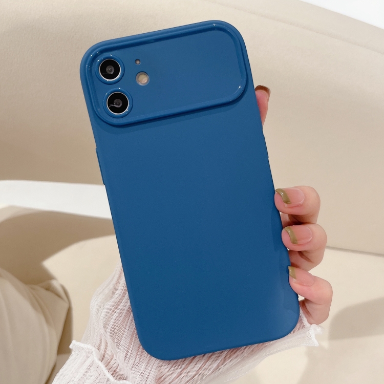 

For iPhone 12 Large Window Frosted TPU Phone Case(Blue)