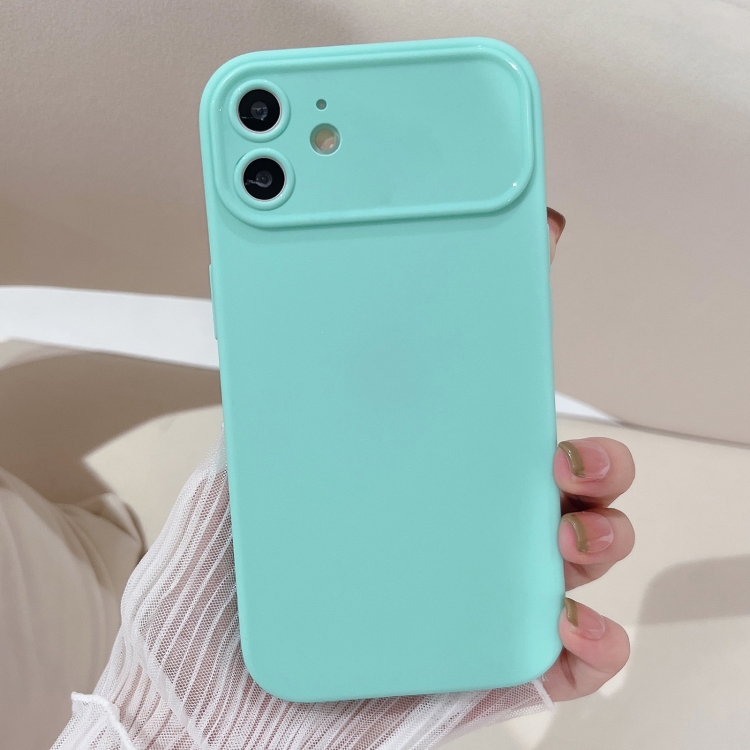 

For iPhone 11 Large Window Frosted TPU Phone Case(Green)