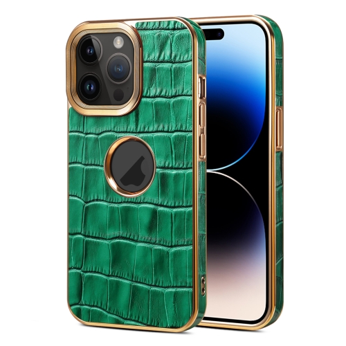 

For iPhone 15 Pro Max Denior Crocodile Texture Genuine Leather Electroplating Phone Case(Green)