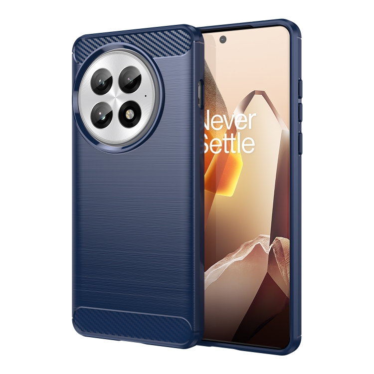 

For OnePlus 13 Carbon Fiber Brushed Texture TPU Phone Case(Blue)