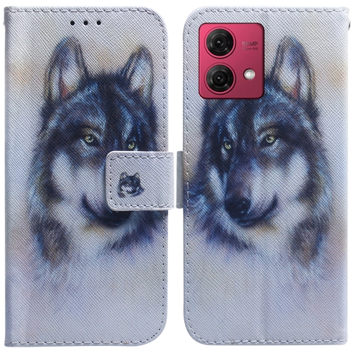 

For Motorola Moto G84 Coloured Drawing Flip Leather Phone Case(White Wolf)