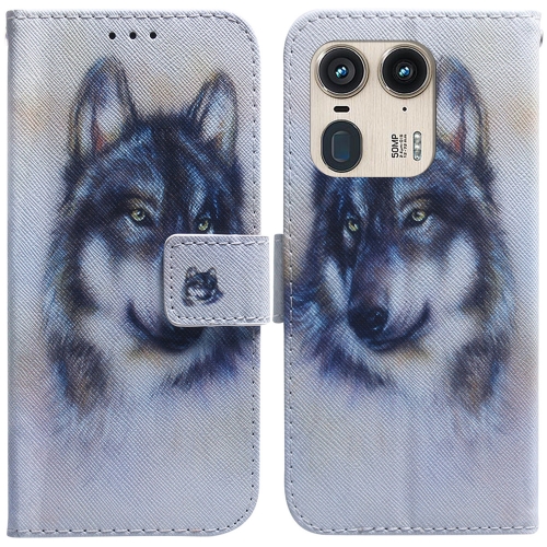 

For Motorola Edge 50 Ultra Coloured Drawing Flip Leather Phone Case(White Wolf)