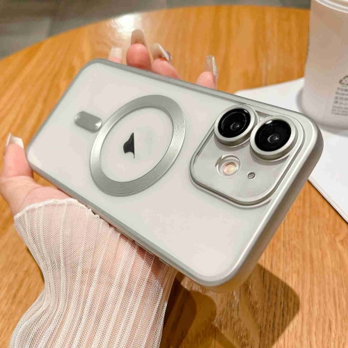 

For iPhone 11 MagSafe Magnetic Frosted TPU Phone Case(Silver)