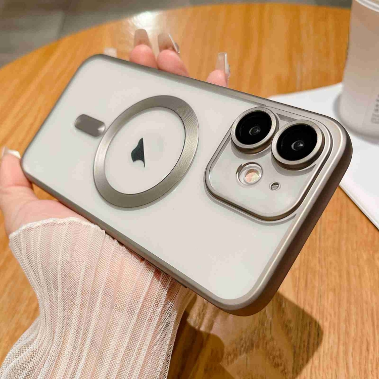 

For iPhone 12 MagSafe Magnetic Frosted TPU Phone Case(Titanium)
