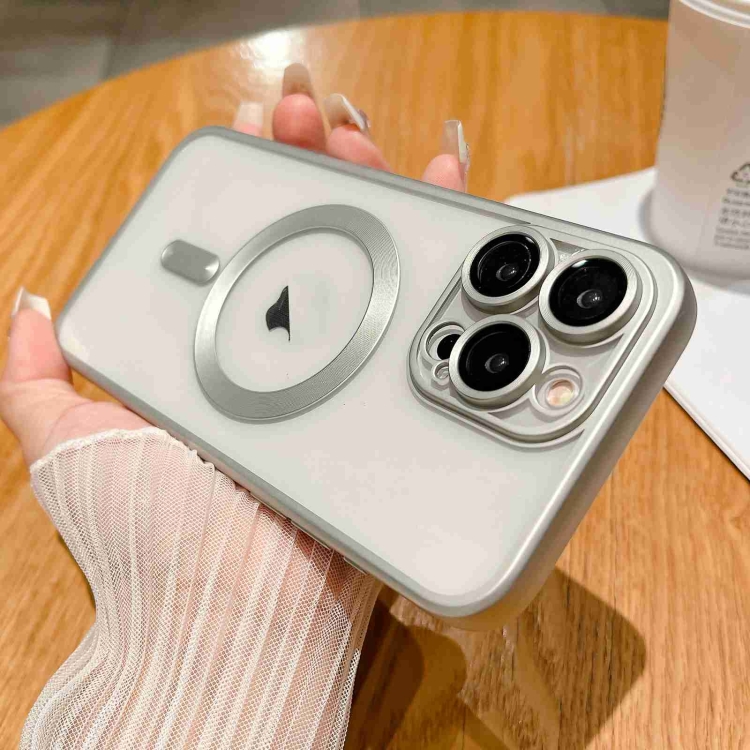 

For iPhone 13 Pro MagSafe Magnetic Frosted TPU Phone Case(Silver)