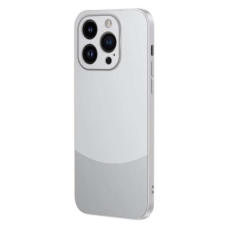 

For iPhone 15 Pro Max Two Color Frosted Shockproof Phone Case(Silver)