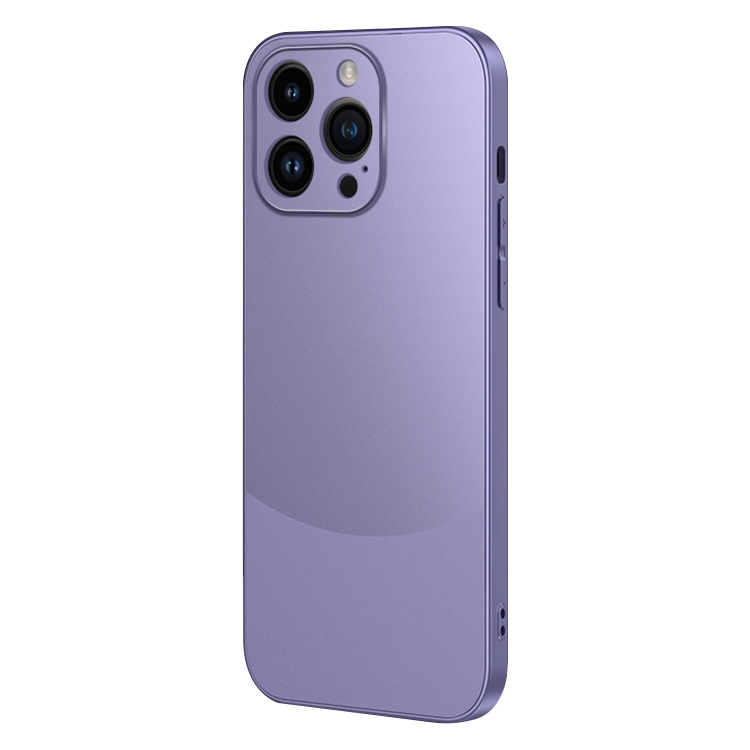 

For iPhone 13 Pro Two Color Frosted Shockproof Phone Case(Purple)