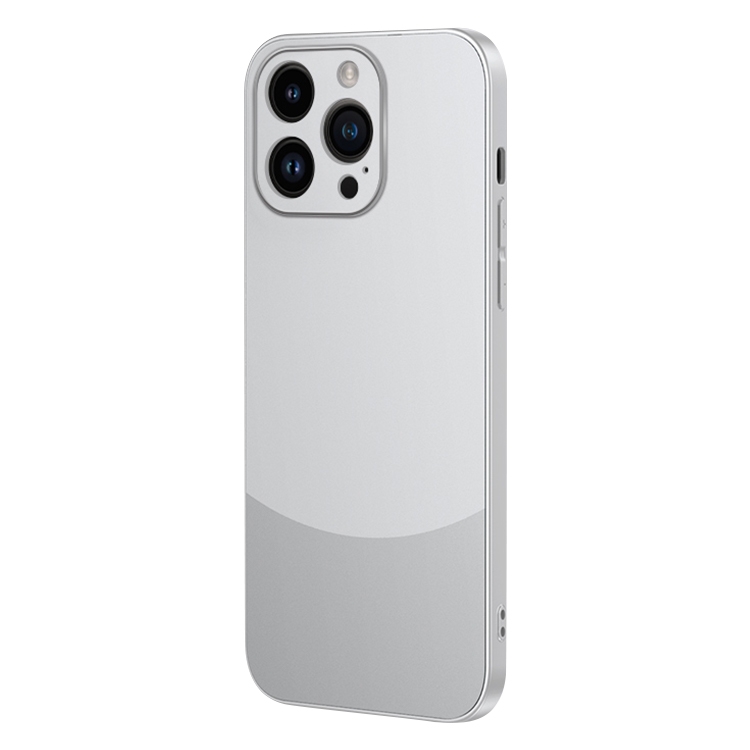 

For iPhone 13 Pro Two Color Frosted Shockproof Phone Case(Silver)