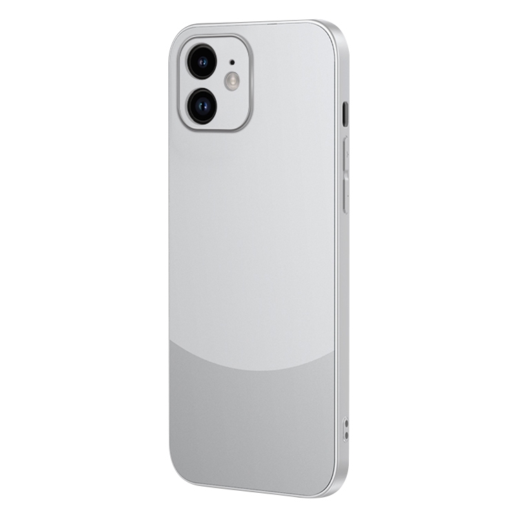 

For iPhone 12 Two Color Frosted Shockproof Phone Case(Silver)
