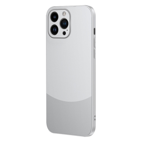 

For iPhone 12 Pro Max Two Color Frosted Shockproof Phone Case(Silver)