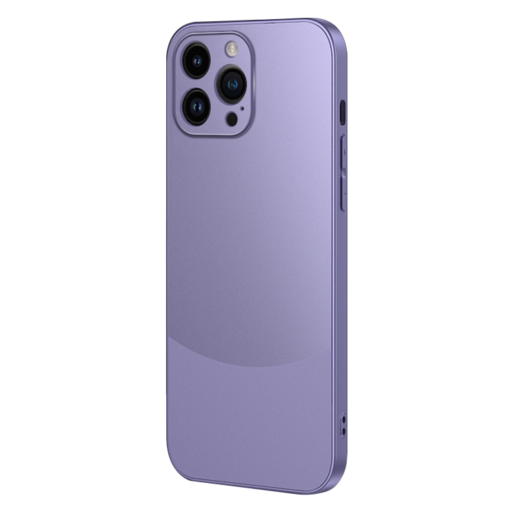 

For iPhone 12 Pro Two Color Frosted Shockproof Phone Case(Purple)