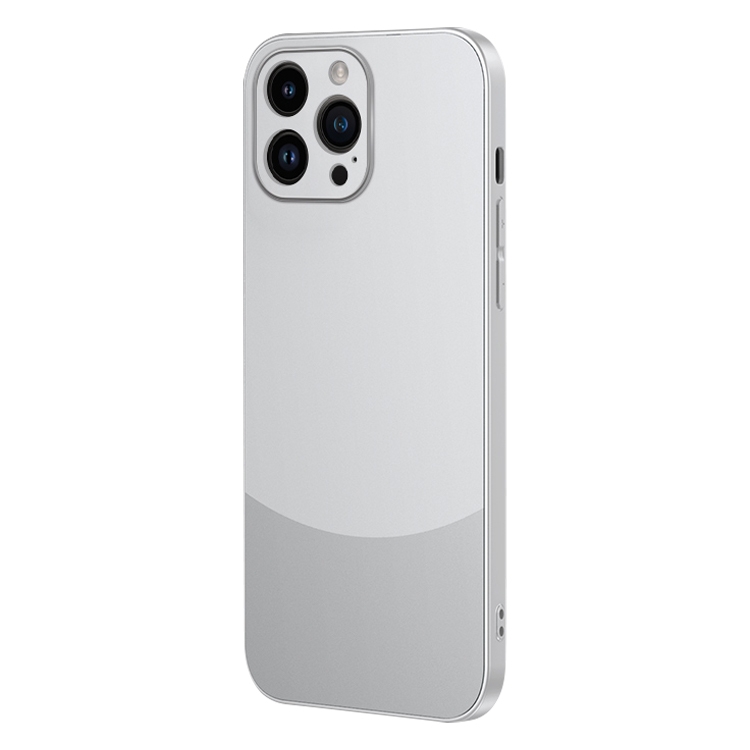 

For iPhone 12 Pro Two Color Frosted Shockproof Phone Case(Silver)