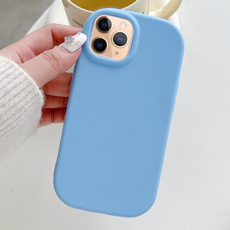 

For iPhone 11 Pro Frosted Soap Shape TPU Phone Case(Blue)