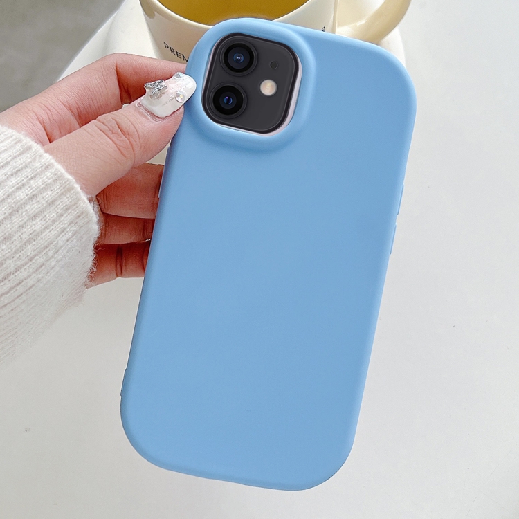 

For iPhone 12 Frosted Soap Shape TPU Phone Case(Blue)