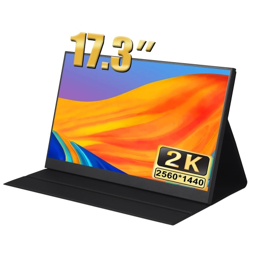 Monitor portatile con schermo IPS UHD 2560x1440P da 17,3 pollici (senza  caricatore)