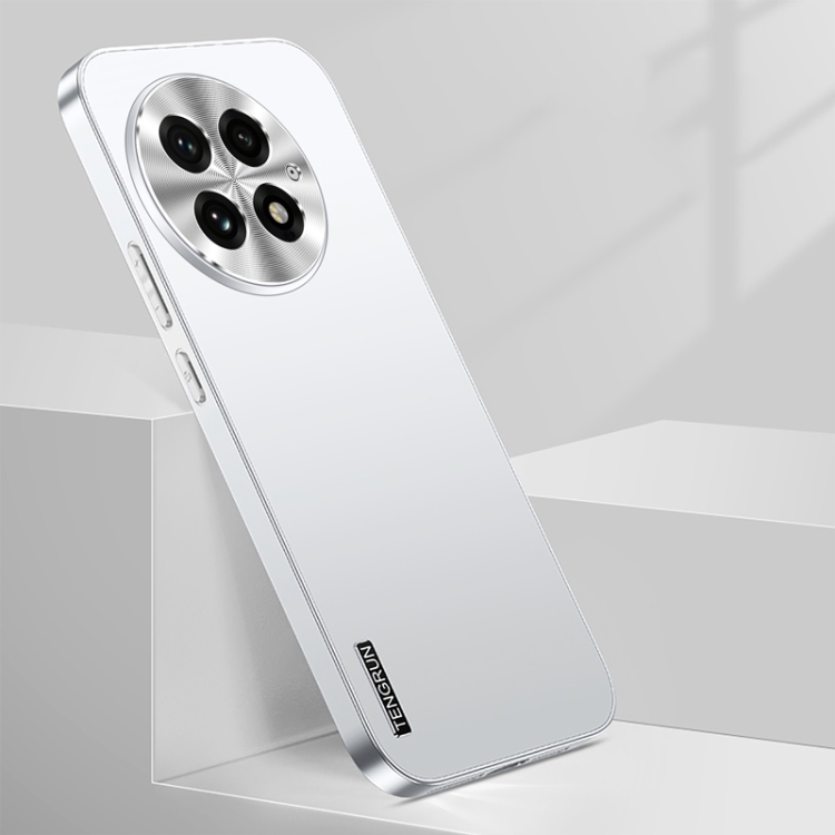 

For OnePlus 13 Streamer Series Micro Frosted Metal Paint PC Phone Case(Silver)